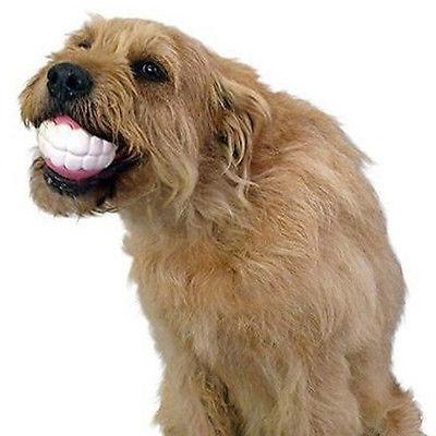 Dog Teeth Ball - oyocrate