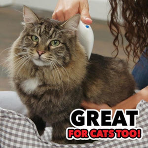Find, Kill & Remove Pesky Fleas In Minutes! - oyocrate