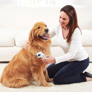 Find, Kill & Remove Pesky Fleas In Minutes! - oyocrate