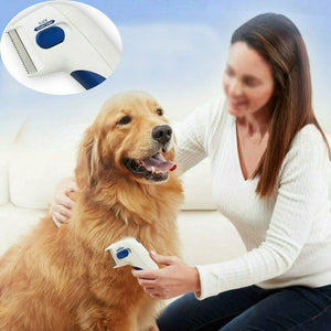 Find, Kill & Remove Pesky Fleas In Minutes! - oyocrate